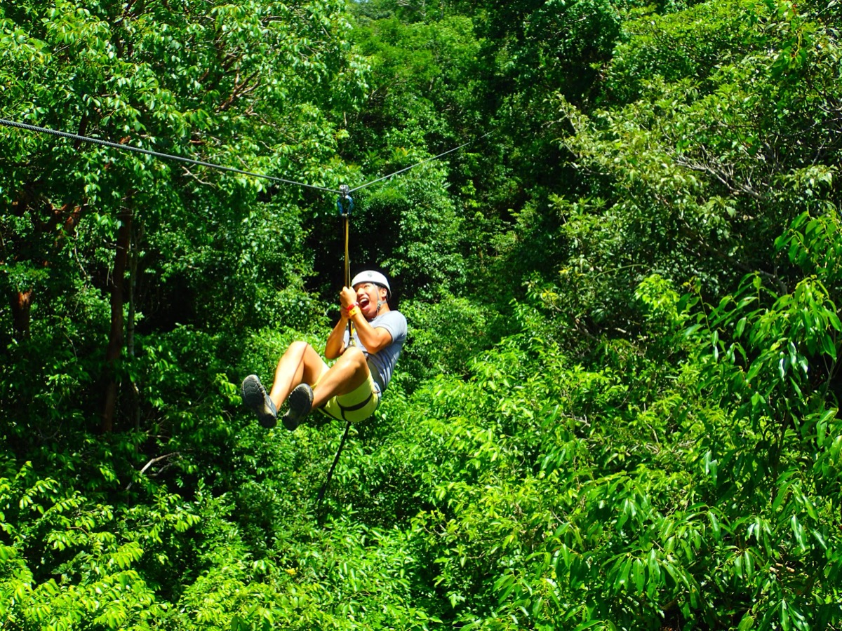 Zipline through jungle canopy